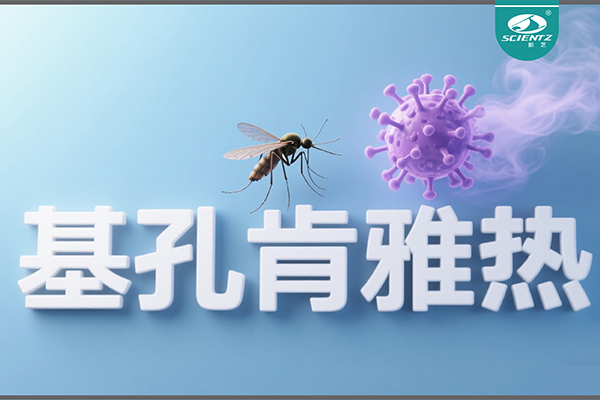 基孔肯雅熱疫情升級(jí)！新芝生物硬核技術(shù)助力病毒精準(zhǔn)診斷