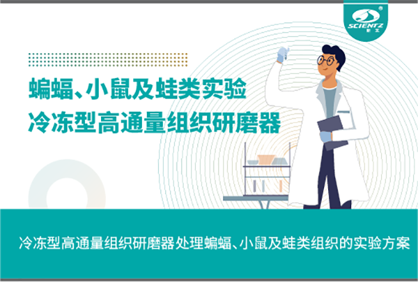 冷凍型高通量組織研磨器處理蝙蝠、小鼠及蛙類組織的實驗方案