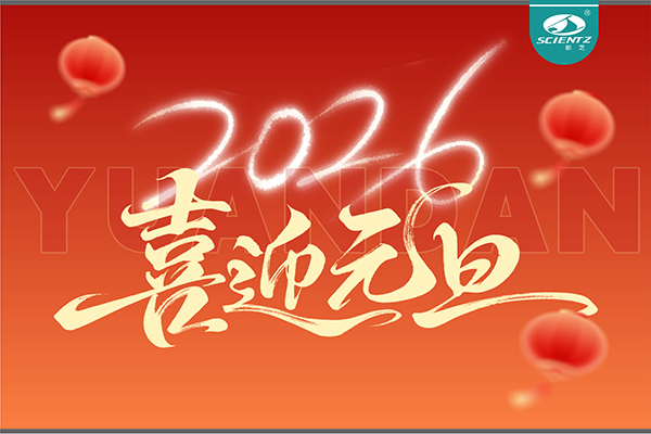 董事長周芳女士新年獻詞：心有定力，沐光而行